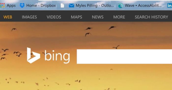 bing